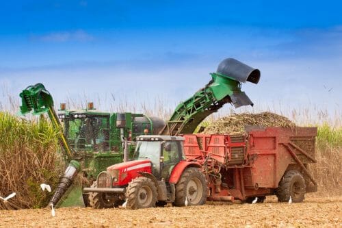 Sugar Industry Chains