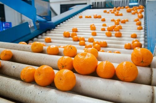 Citrus Industry Chains
