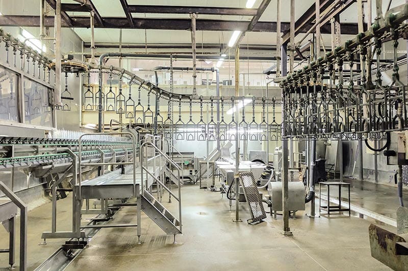 Highly Durable Welded Steel Chain for the food industry