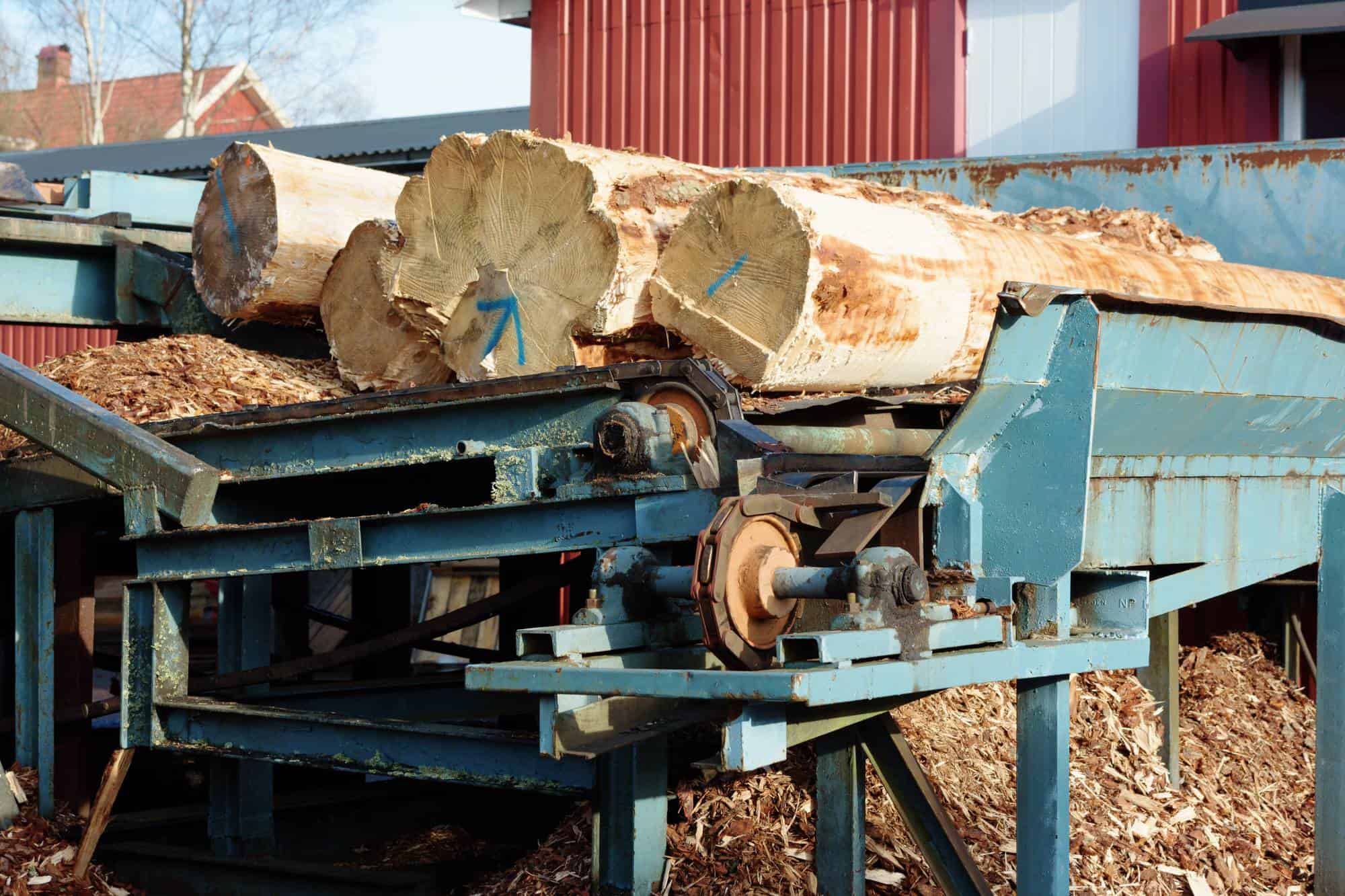Log Deck