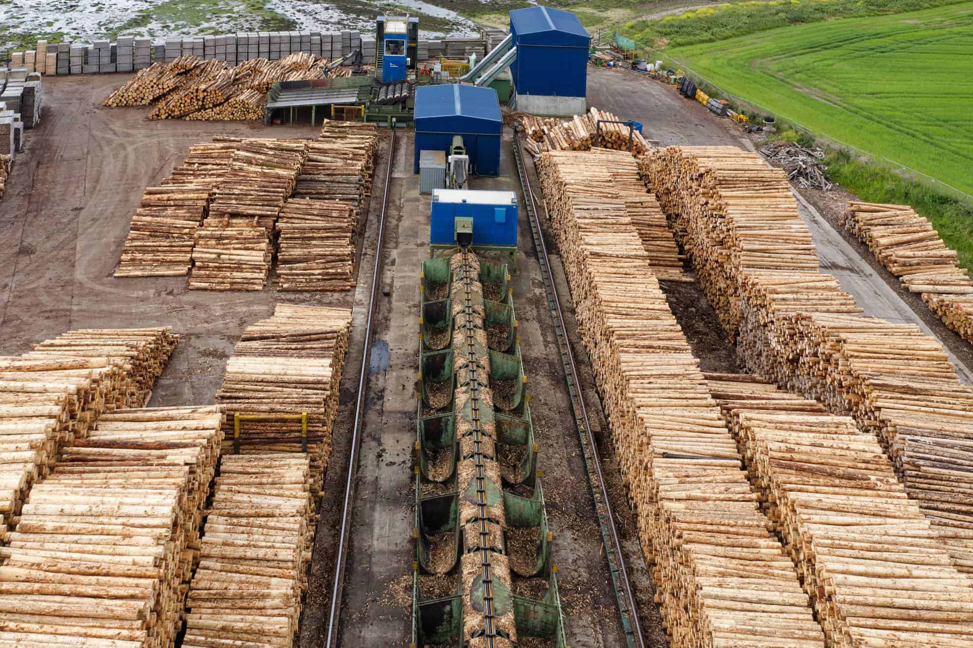 Log Feeder